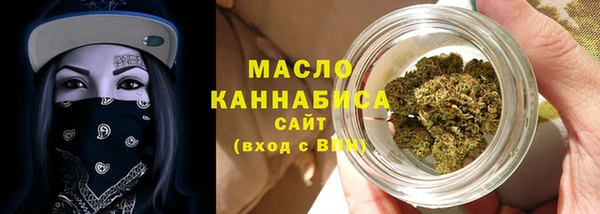 скорость Ельня
