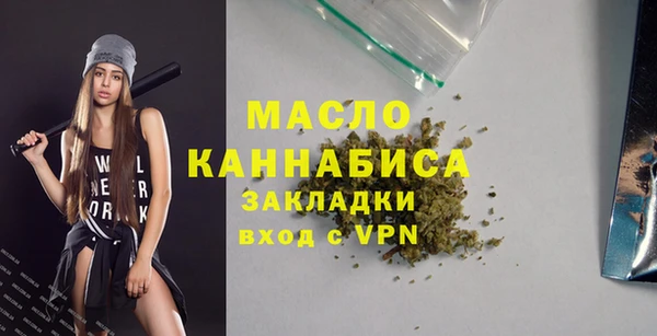 скорость Ельня