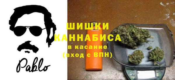 хмурый Елизово