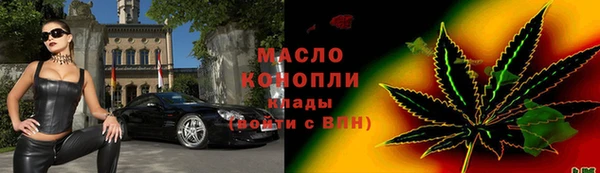 скорость Ельня