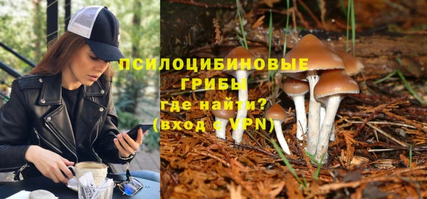 скорость Ельня