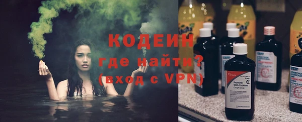 хмурый Елизово