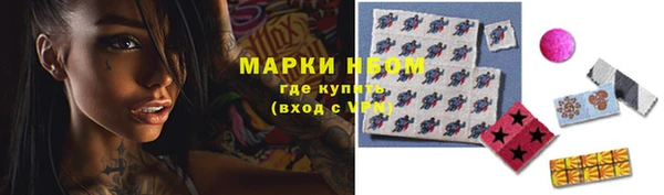скорость Ельня