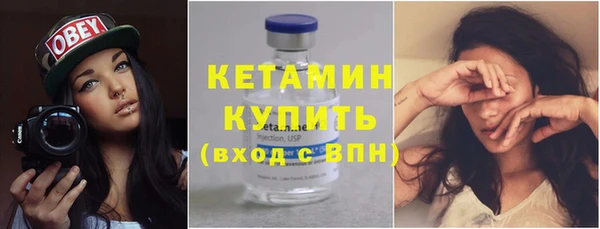 стаф Тутаев