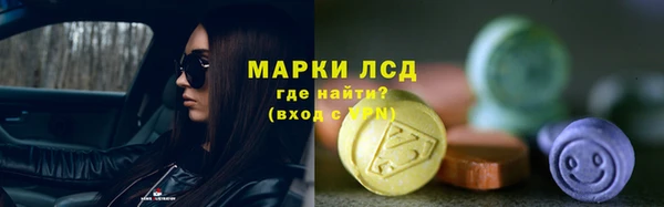 скорость Ельня