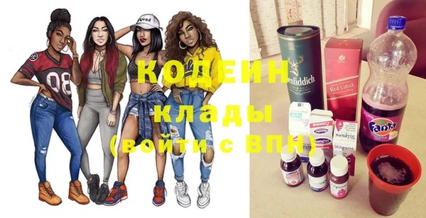 хмурый Елизово