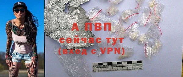 стаф Тутаев