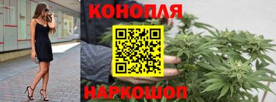 spice Бийск