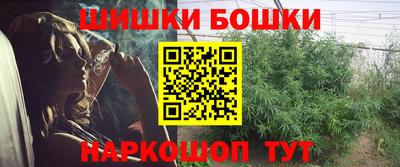 spice Бийск