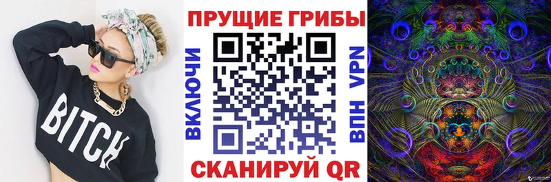 Галлюциногенные грибы Psilocybe  OMG ONION  Дзержинский  купить наркоту 