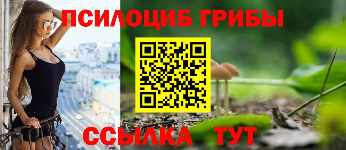 Галлюциногенные грибы прущие грибы Дзержинский